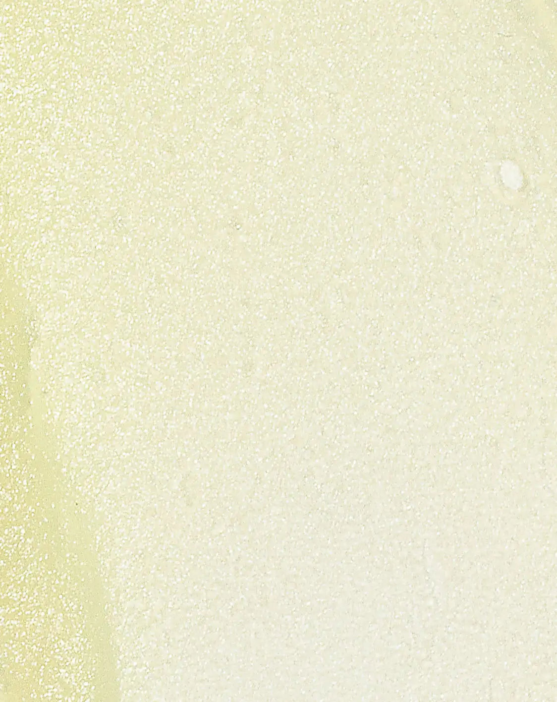 Invisible Gel OilFree SPF 50